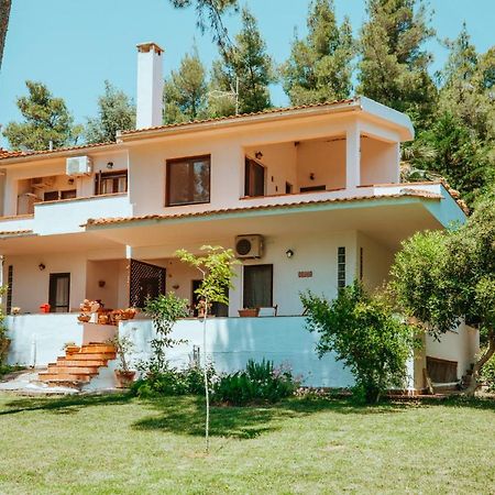 Forest House Near The Sea Сани Бийч Екстериор снимка