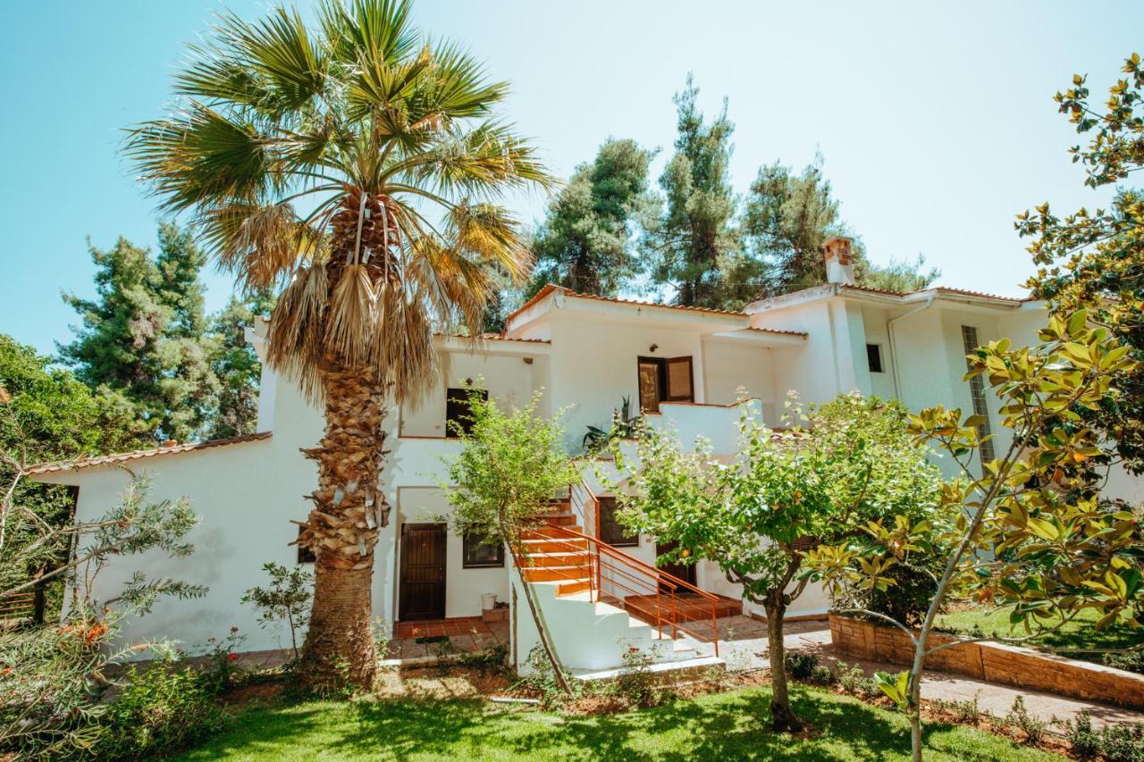 Forest House Near The Sea Сани Бийч Екстериор снимка