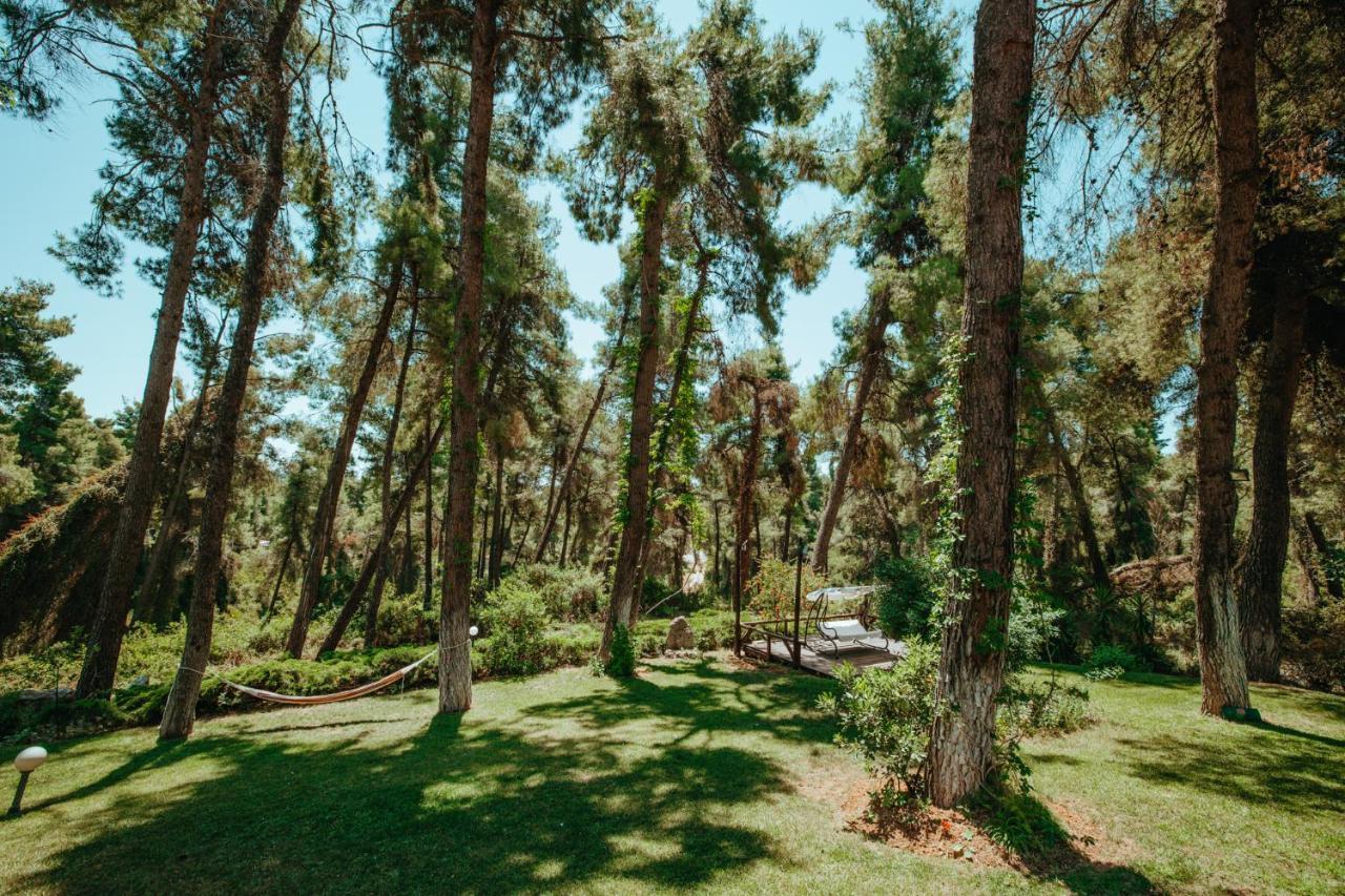 Forest House Near The Sea Сани Бийч Екстериор снимка